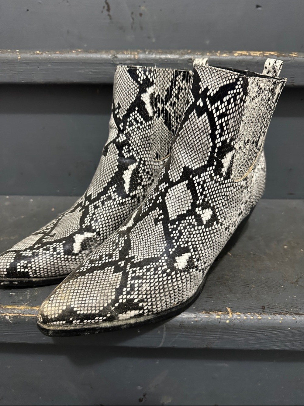 Snake-Print Pointed Ankle Booties in Black & White